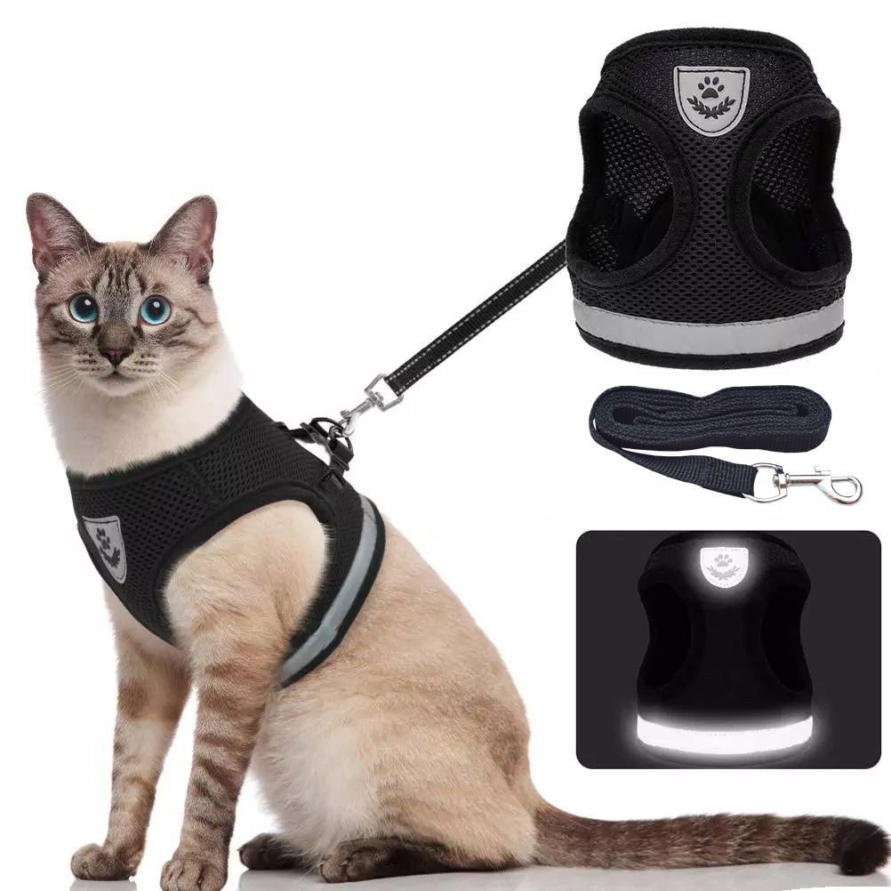 Kattsele med koppel – Justerbar & Reflex