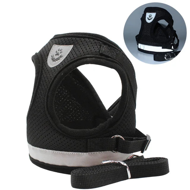 Kattsele med koppel – Justerbar & Reflex