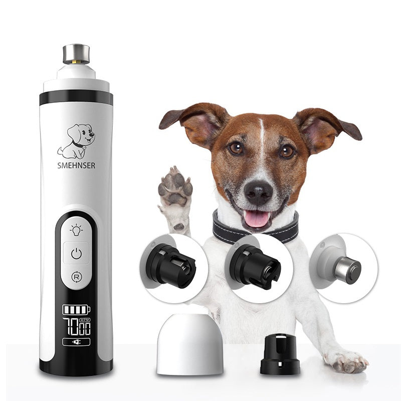 LED Klofil för Hund & Katt