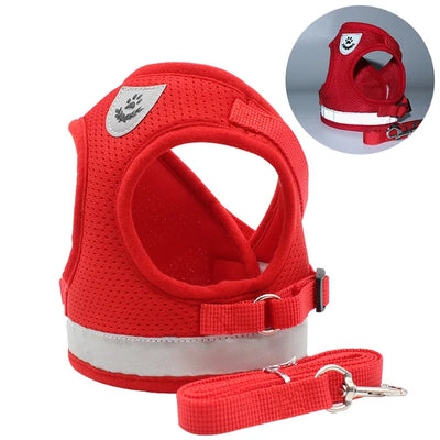 Kattsele med koppel – Justerbar & Reflex