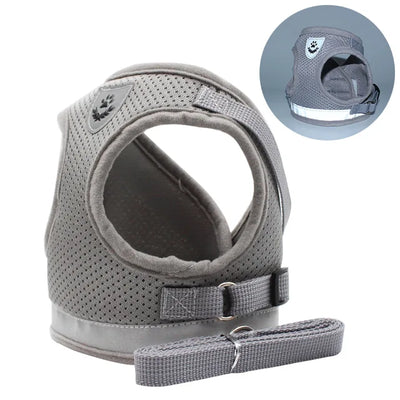 Kattsele med koppel – Justerbar & Reflex