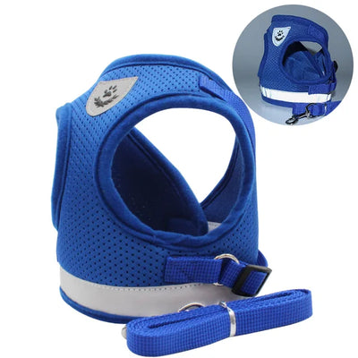 Kattsele med koppel – Justerbar & Reflex
