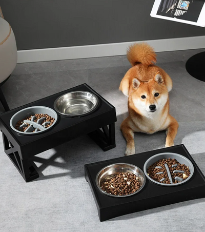 Justerbar Upphöjd Matskål för Hund & Katt – Ergonomisk och Stabil